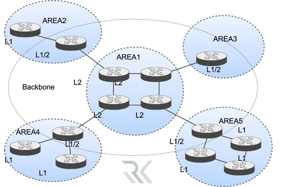 Backbone min 1