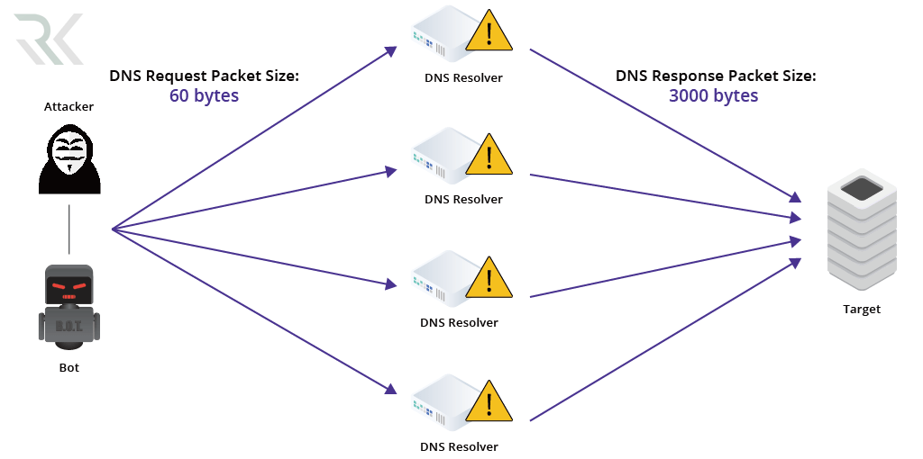 حمله DNS Amplification چیست؟