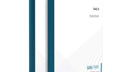 SANS SEC542.3 Injection