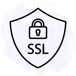 تأمین تجهیزات امنیت شبکه در زنجان | فروش و پشتیبانی تخصصی تجهیزات امنیتی 31 تجهیزات SSL Inspection