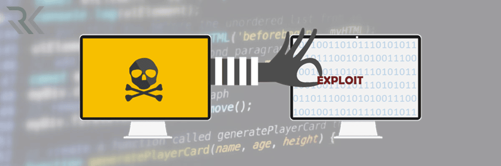 بردارهای نرم‌افزاری (Software based vectors)