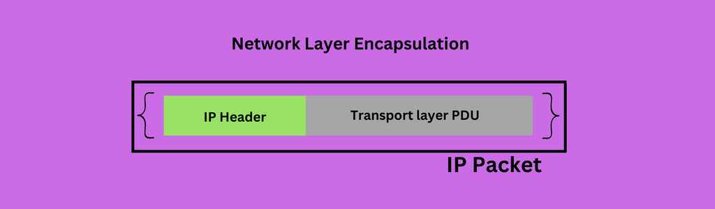 کپسولهسازی (Encapsulation) در شبکه چیست؟ کاربردها و نحوه عملکرد 1 کپسولهسازی (Encapsulation) در شبکه چیست؟