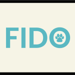 FIDO چیست و چگونه فرایند احراز هویت را امن تر می‌کند؟