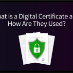 گواهی دیجیتال (Certificate) چیست و چه تفاوتی با امضای دیجیتال دارد؟