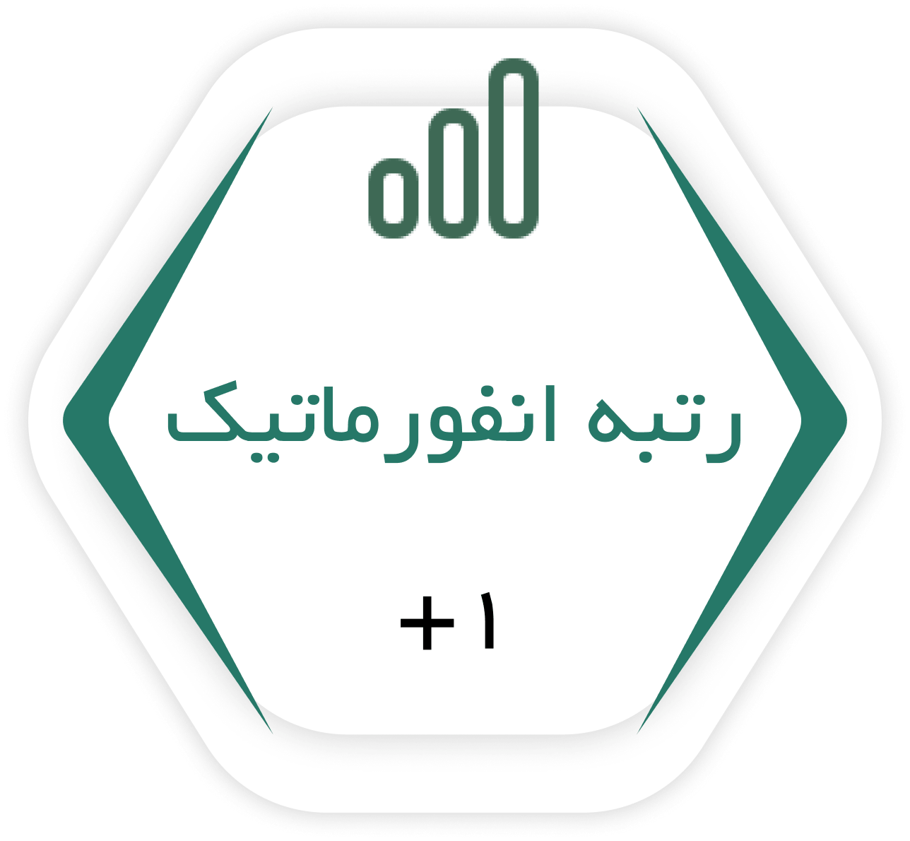 رتبه انفورماتیک